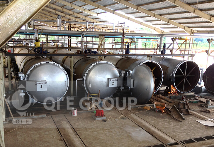 Palm Fruit Sterilization Machine