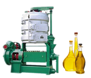Palm Kernel Oil Press Machine