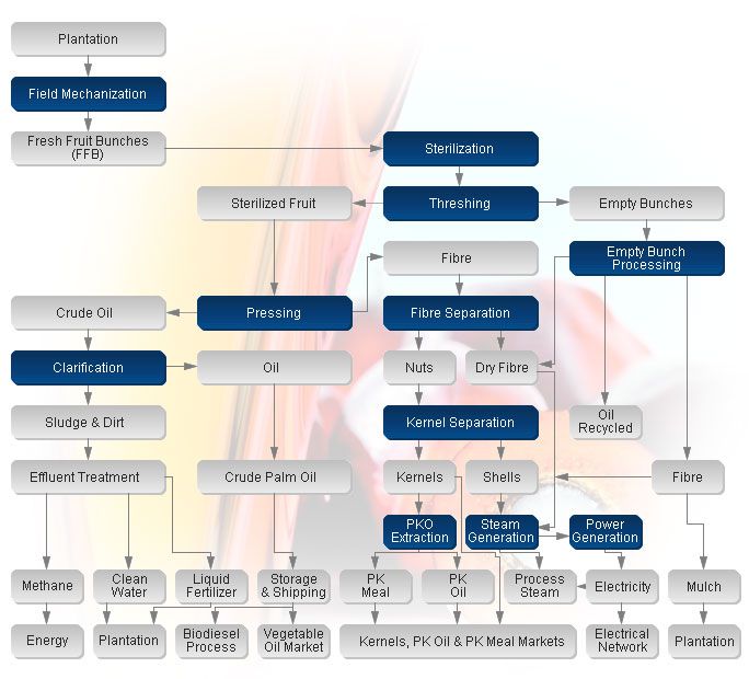 Palm Oil Mill Plant Production Line flow chart