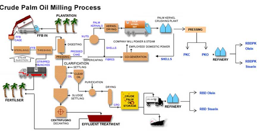 Palm Oil Mill Plant flow chart