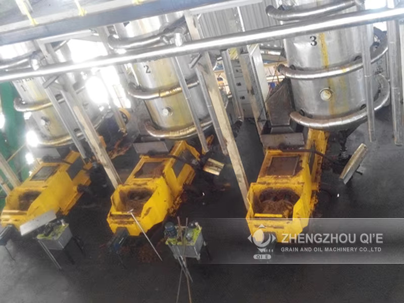 Starting Commercial Palm Oil Processing Plant