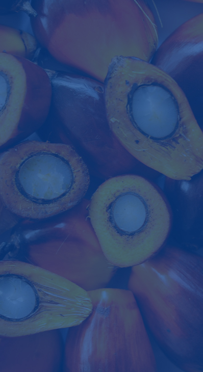 PALM OIL FOR RAW MATERIALS