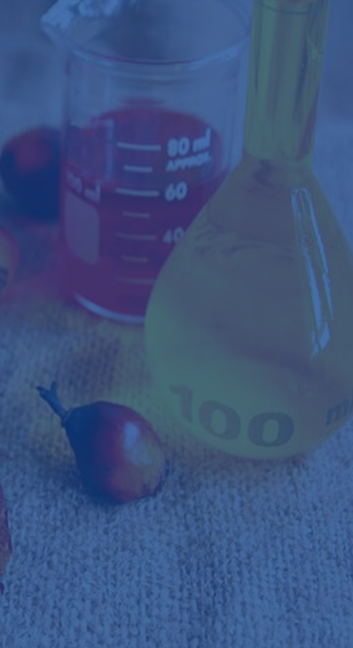 PROCESSING FOR FINISHED REFIEND PALM OIL