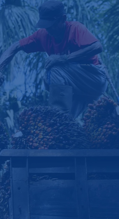 PROCESSING EQUIPMENT FOR RAW MATERIALS