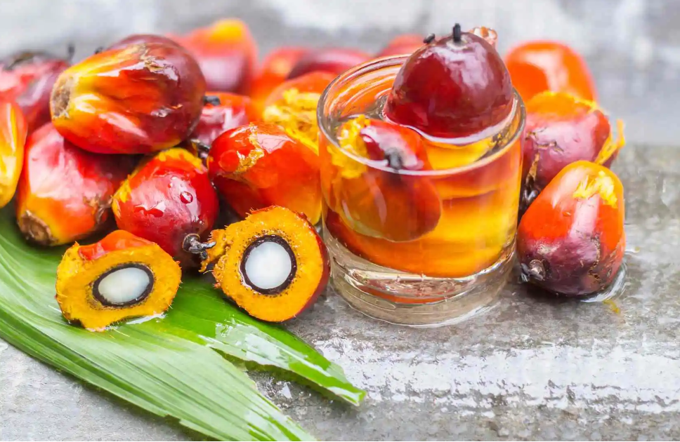 Palm oil how is it made?