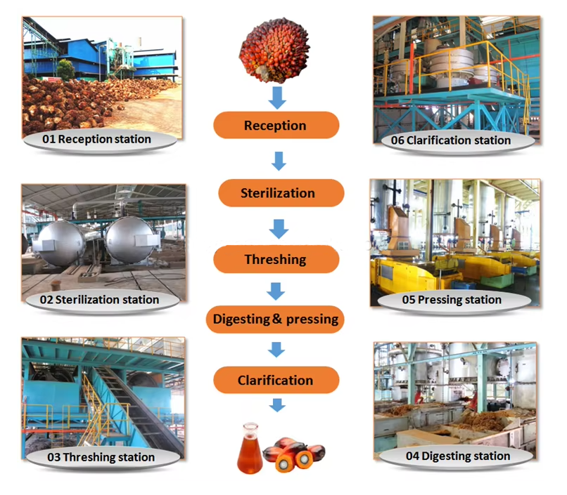 palm oil plant process