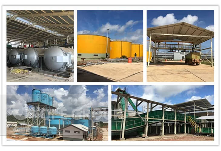 palm oil production case