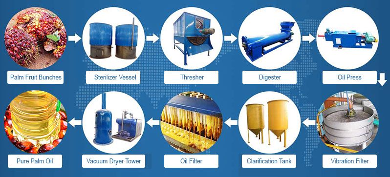 Establish a Palm Oil Mill Plant in Ghana