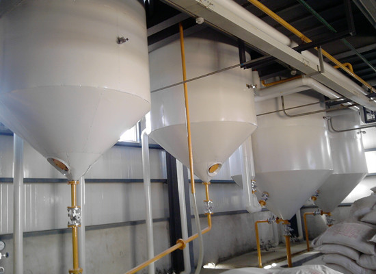 Palm Oil Bleaching Process