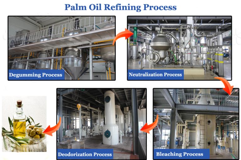 Navigating Palm Oil Refinery Setup Costs in Nigeria